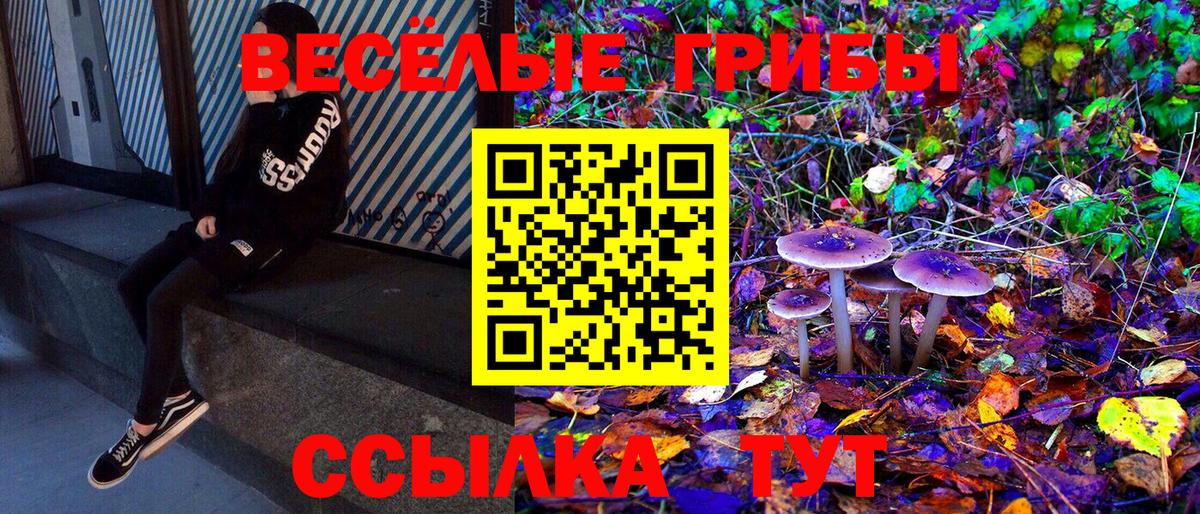 Домодедово  Псилоцибиновые грибы Psilocybine cubensis  хочу   Вход с VPN  Псилоцибиновые грибы Psilocybe 